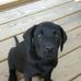 Gary Sinquefield - Facebook