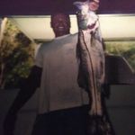 Gary Sirois - @garysirois - Instagram