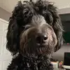 Gary Skeen - @garyskeen.com - TikTok