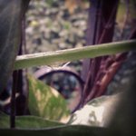 Gary Skipper - @bookridanephew - Instagram