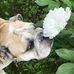 Gary Skowronek - Facebook