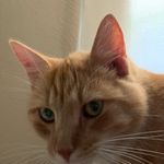 Gary skowronski - @gskow23 - Instagram