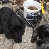 Gary Slack - @gary.slack6 - TikTok