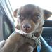 Gary Sluder - Facebook