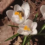 Gary Smeltzer - @smeltzergary - Instagram