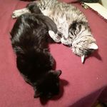 Gary Smithson - @hater_club5 - Instagram