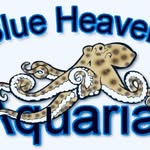 Gary Soileau - @blueheavenaquaria - Instagram