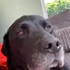 garysoles46 - @garysoles46 - TikTok