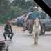 Garrett Sosebee - Facebook