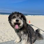 Gary Southerland - @gwsouth123 - Instagram