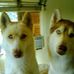 Gary Southerland - Facebook