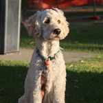Gary Spangler - @garyspangler102 - Instagram