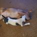 Gary Specht - Facebook