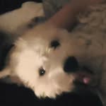 @mrgaryspikes - Instagram
