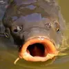 garyspitz6 - @garyspitz6 - TikTok