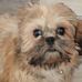 Gary Spradlin - Facebook