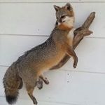 Gary Spradlin - @spradlin.gary - Instagram