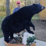 Gary Spradlin-Gary's Taxidermy - @garystax1973 - Instagram