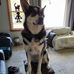 Gary Spreng - Facebook