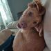 Gary N Melissa Stack - Facebook