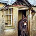 Gary Stack - Facebook