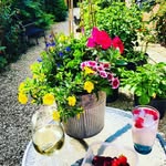 Gary Stamp - @garys_veggie_garden - Instagram