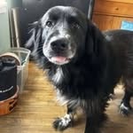 Gary Stamper Jr. - @gary_stamper_ - Instagram