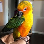 Gary Standard - @standar1012 - Instagram