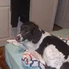 Gary Stanecki - @gary.stanecki - TikTok