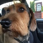 @garystarky - Instagram