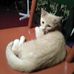 Gary Steffy - Facebook