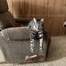 Gary Stegman - Facebook