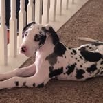gary steichee - @aaronthefish5 - Instagram