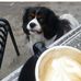 Gary Steigenberger - Facebook