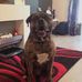 Garry Steel - Facebook