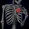 Gary Stelly - @garystelly - TikTok
