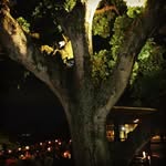Gary Tsang - @gary_stella2000 - Instagram
