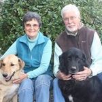 Gary Sterner - @garysterner - Instagram