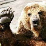 gary sterner - @mountain.man.gary - Instagram
