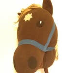 Gary The Stick Horse - @garythestickhorse - Instagram