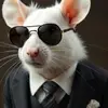 gary.garlickstick - @gary.garlickstick - TikTok