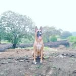 Jhojan Garibello - @stick_gary - Instagram