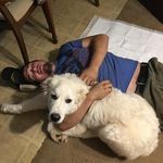 Gary Stillwell - @garystillwell - Instagram
