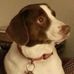 Gary W Stilson - Facebook