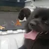 Gary Stockman - @gary.stockman - TikTok