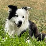 Gary Stockman - @gary.stockman.3 - Instagram