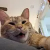 garystorck - @garystorck - TikTok
