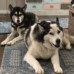 Gary Storey - @gary_storey_45 - Instagram