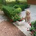 Gary Storey - Facebook