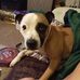 Gary Storie - Facebook
